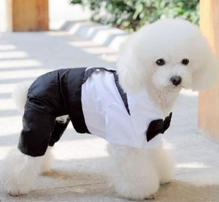 Pet Costumes Handsome Dog Rompers Clothing Formal Dog Jumpsuit with Bow Tie Groom Tuxedo